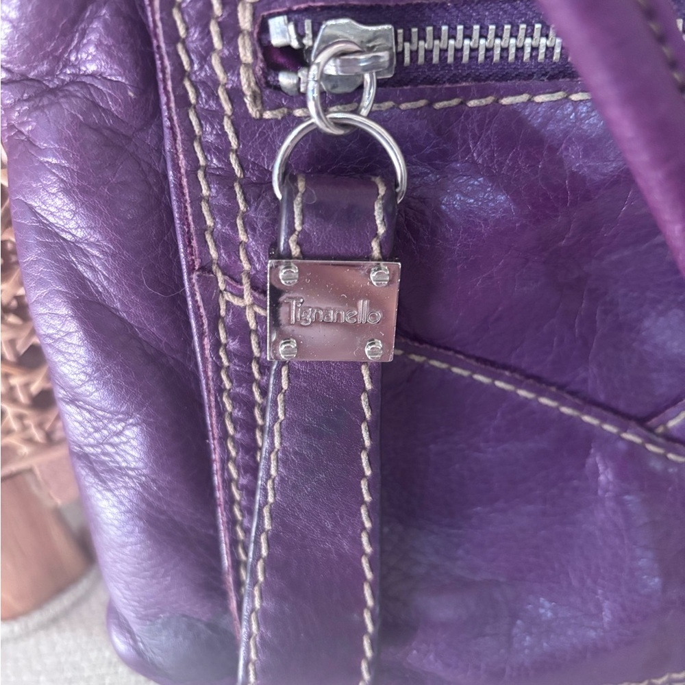 Tignanello Deep Purple Leather Crossbody Bag